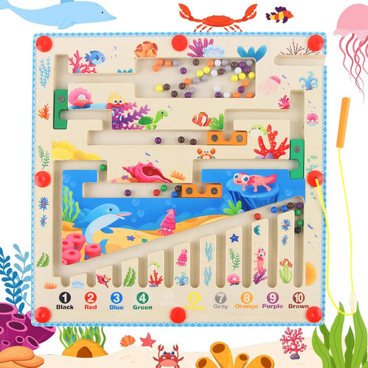 Montessori Magnetic Maze Board