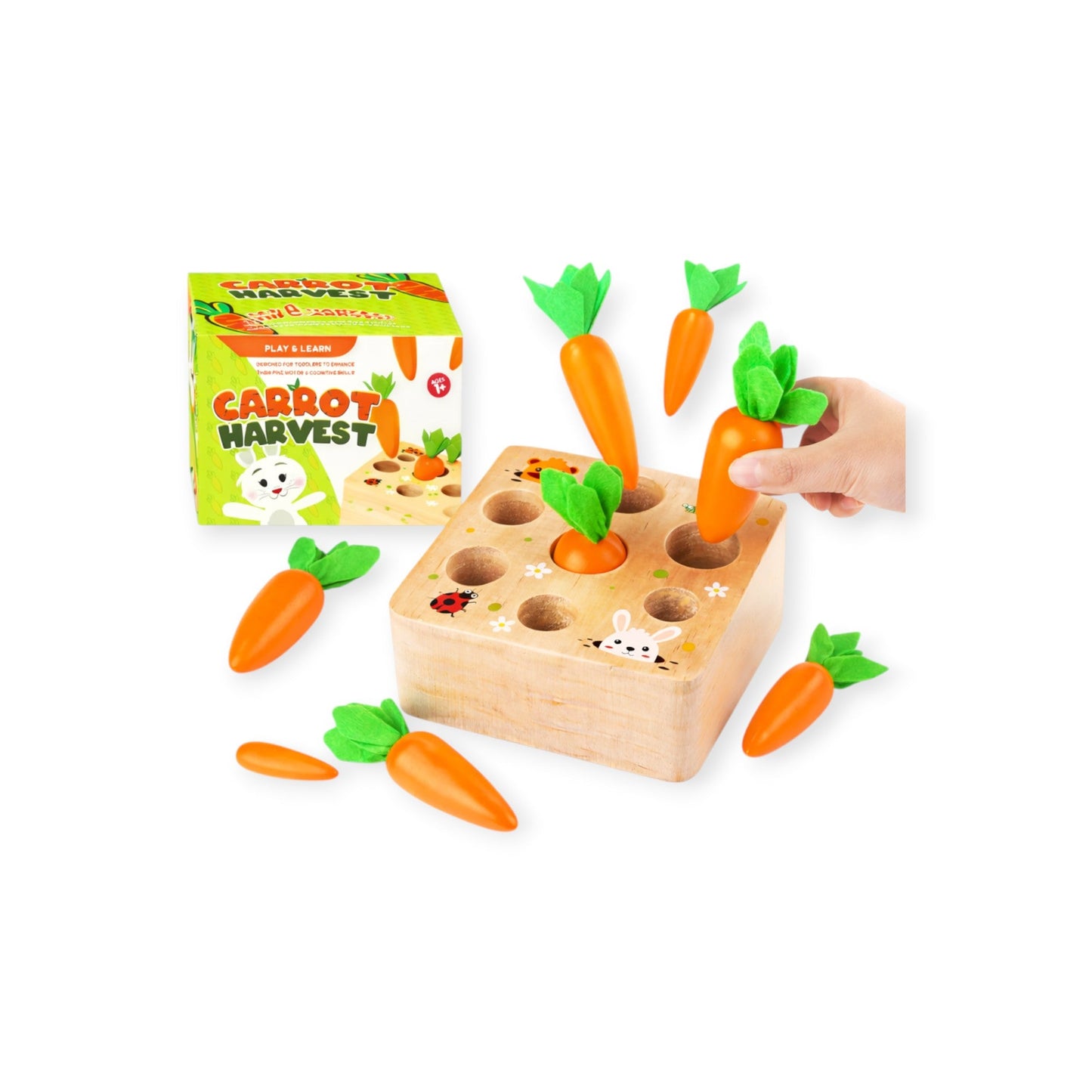 Carrots Harvest Box - Project Montessori