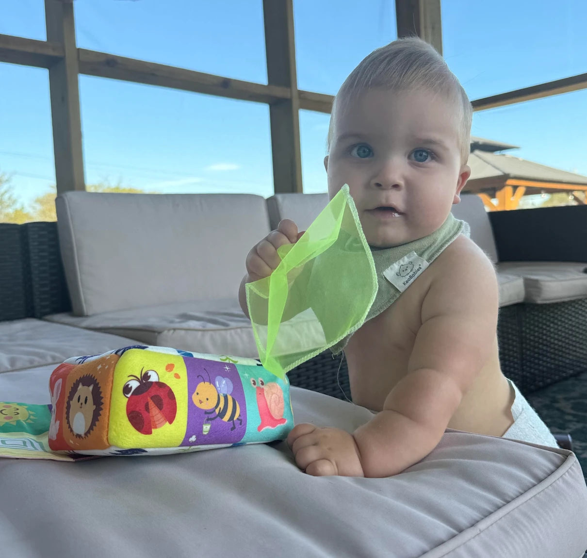 1 Year Olds