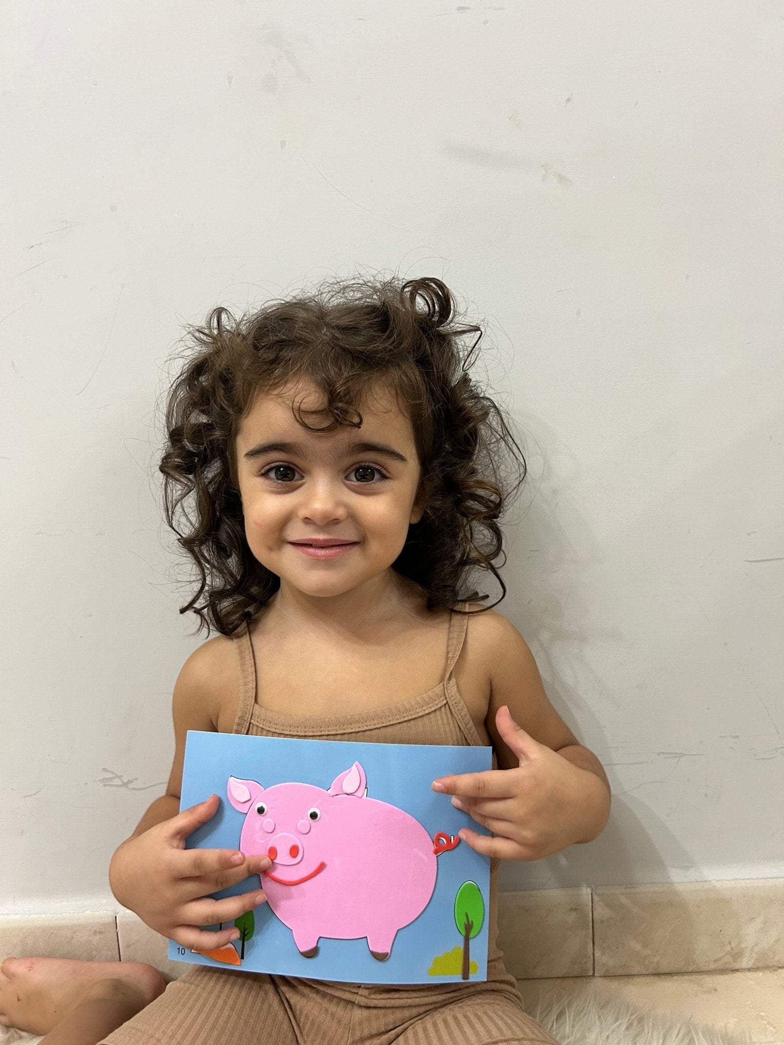 3D Sticker Puzzles (12 Sheets) - Project Montessori
