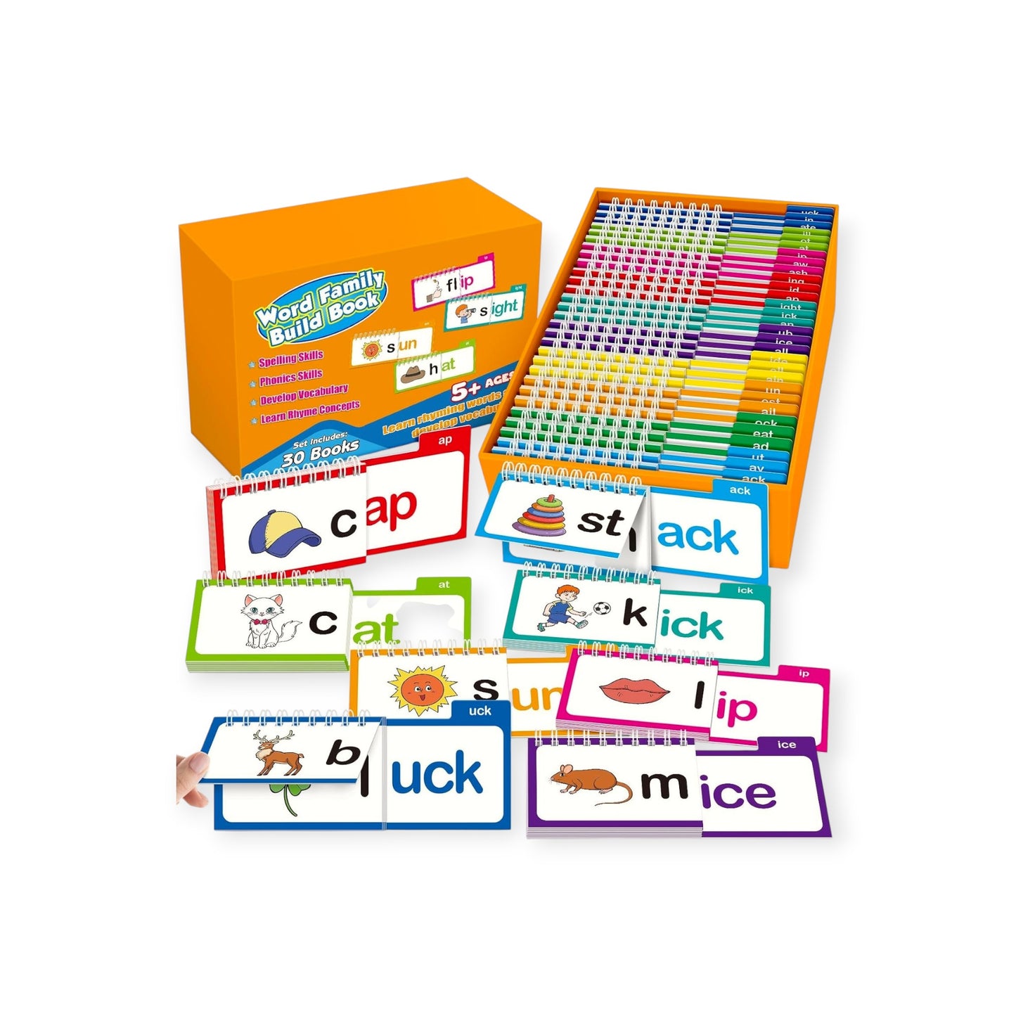 Montessori Word Flip Cards