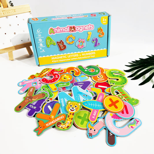 Montessori Learning Magnets