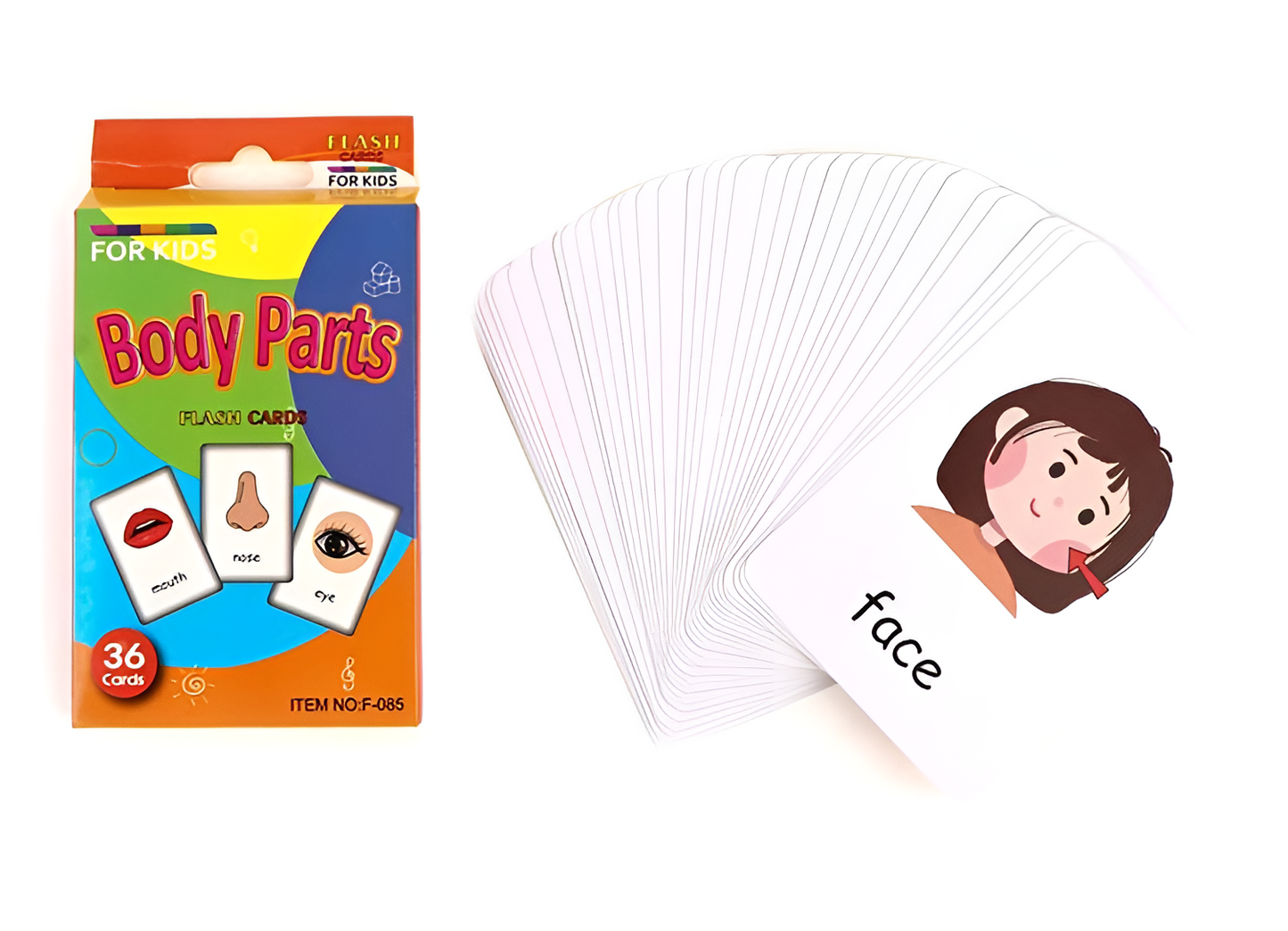Montessori Educational Flashcards