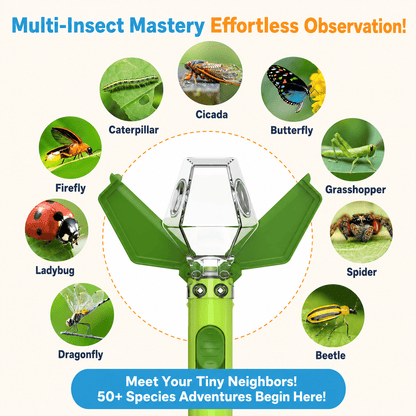 Montessori Insect Catcher Kit - Project Montessori