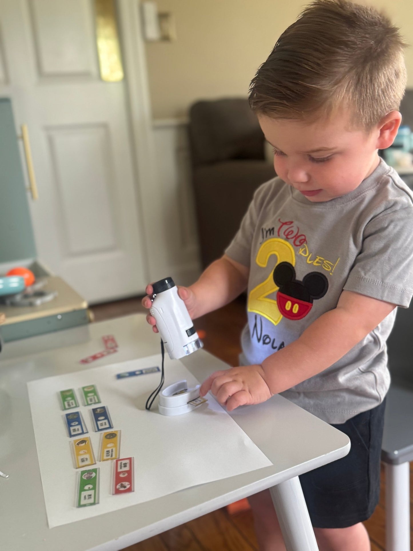 Montessori Pocket Explorer - Project Montessori