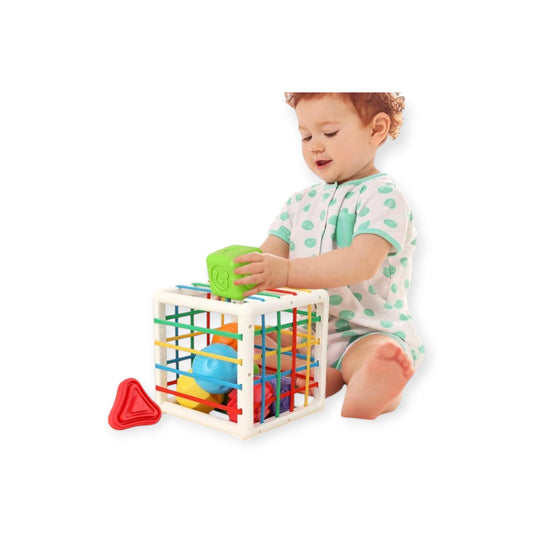 Montessori Sensory Sorting Cube - Project Montessori