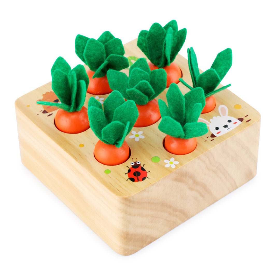 Best Seller: Carrots Harvest Box - Project Montessori