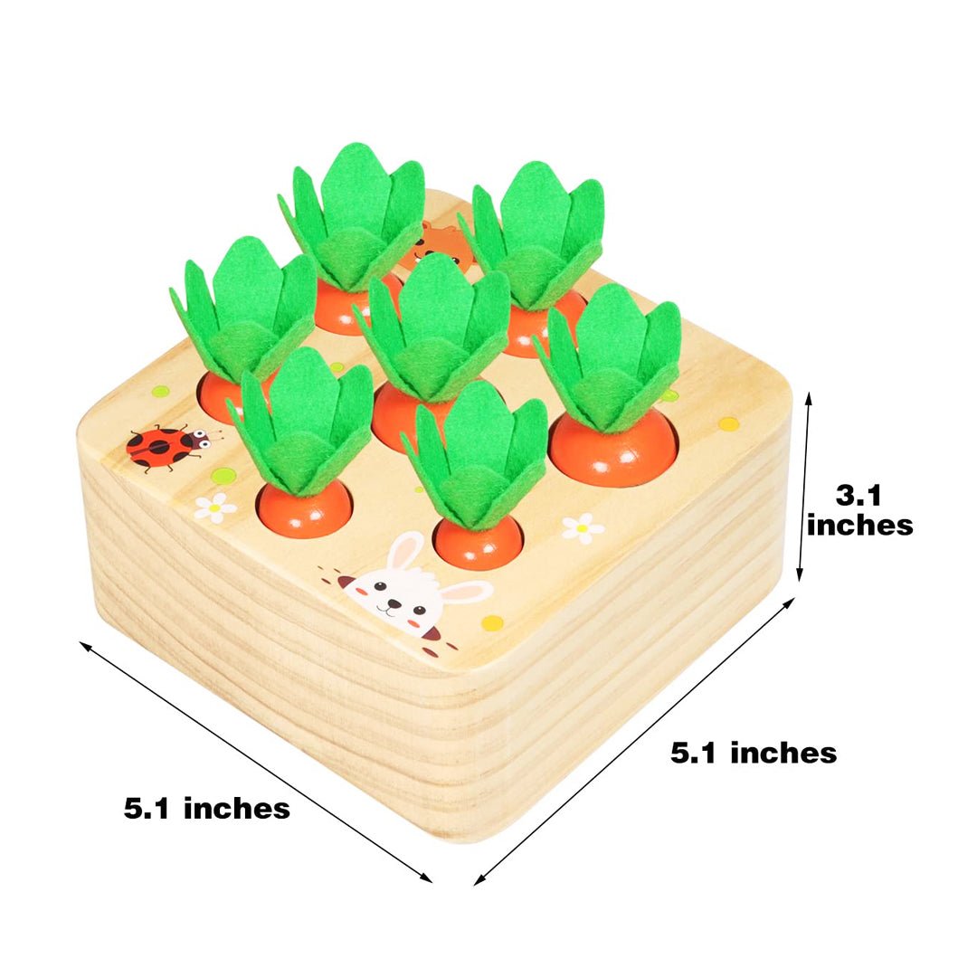 Best Seller: Carrots Harvest Box - Project Montessori