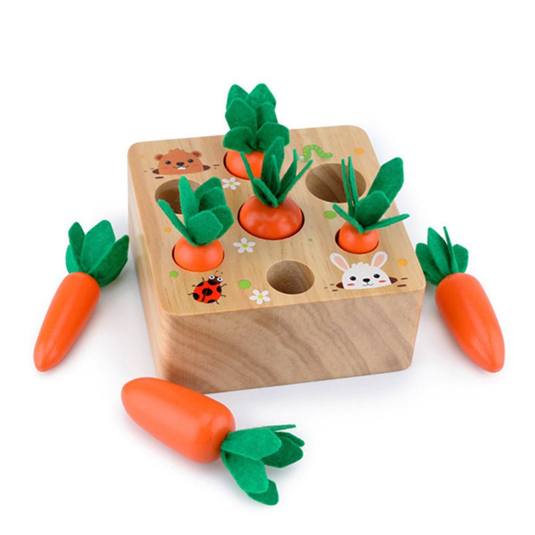 Best Seller: Carrots Harvest Box - Project Montessori