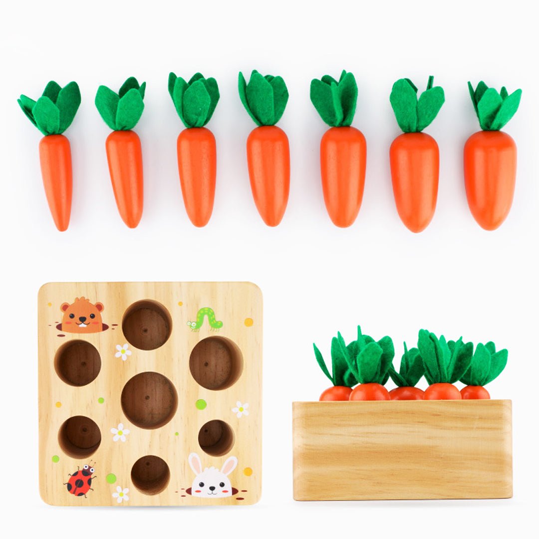Best Seller: Carrots Harvest Box - Project Montessori