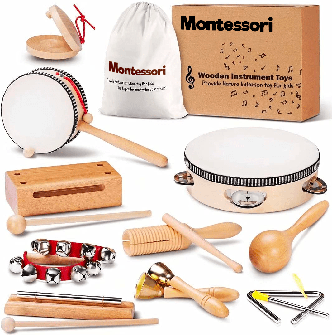 Montessori Wooden Music Instruments Set (10 Instruments) - Project Montessori